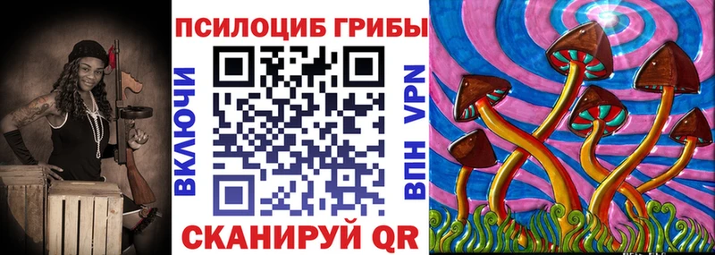 Галлюциногенные грибы мухоморы  купить  цена  Арск 